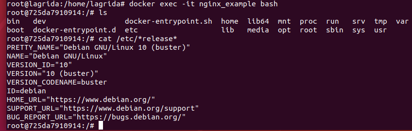 Nginx image linux distribution