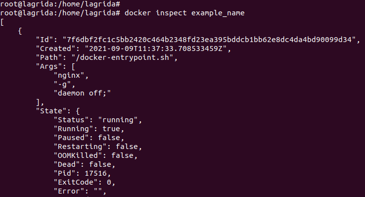 Docker inspect a container